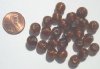 25 8mm Round Brown with Gold Foil